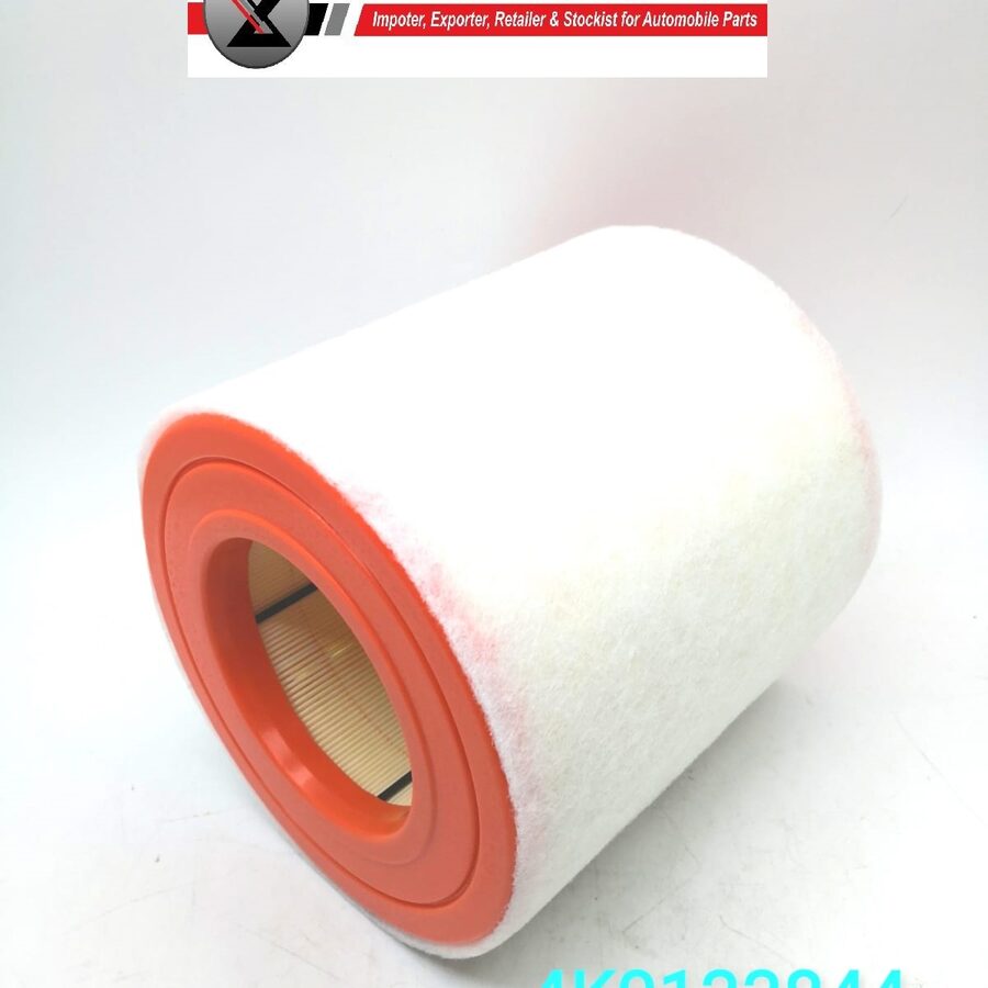 AUDI A6 2019 3.0CC AIR FILTER (4K0133844)